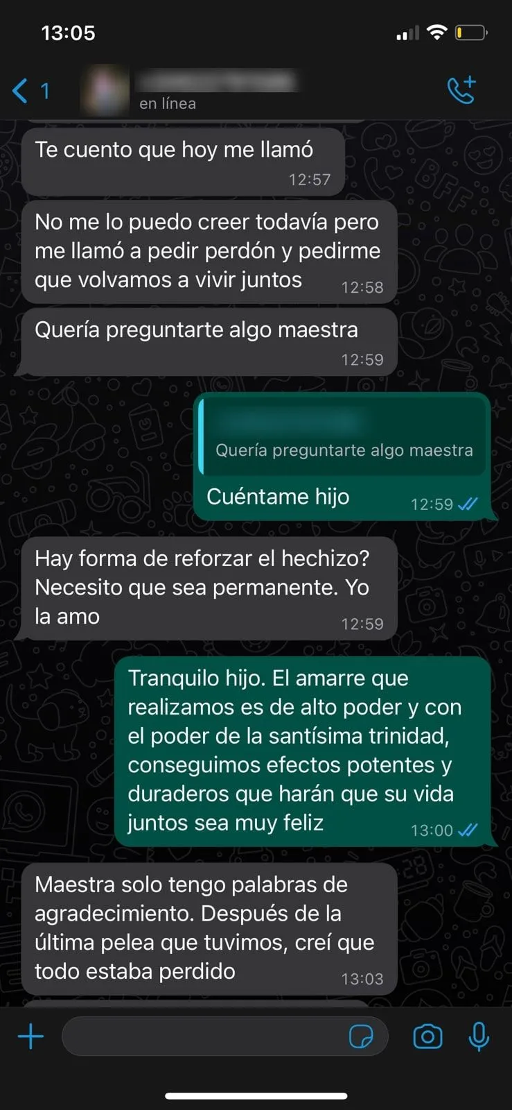 Captura de WhatsApp de una persona que escribió a la Maestra (3)